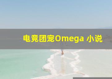 电竞团宠Omega 小说